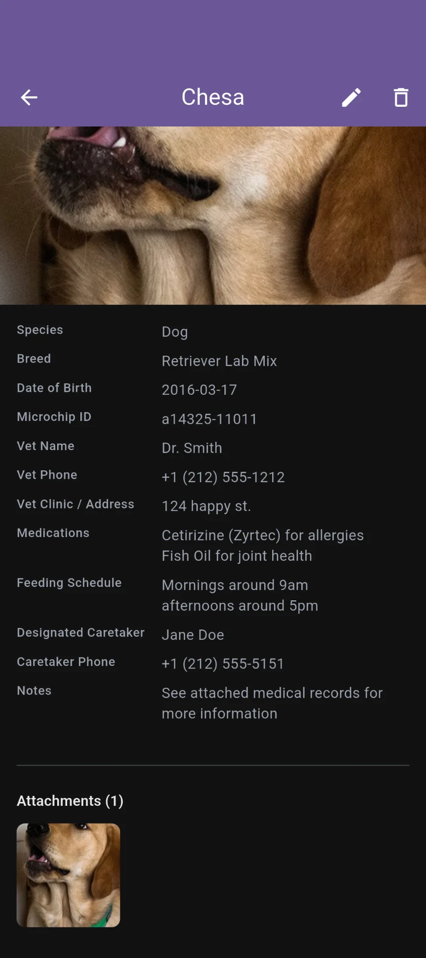 Vault section edit form with structured fields